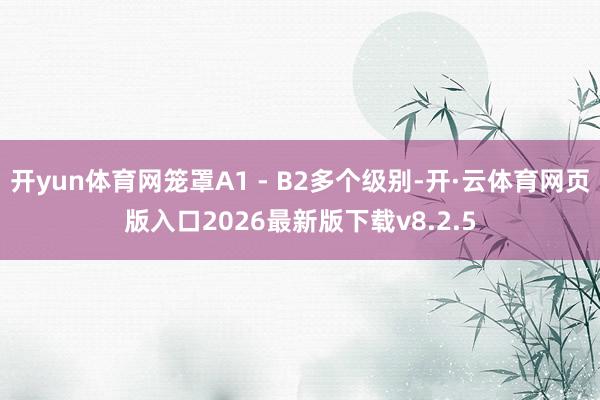 开yun体育网笼罩A1 - B2多个级别-开·云体育网页版入口2026最新版下载v8.2.5