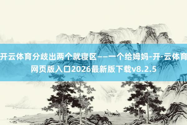 开云体育分歧出两个就寝区——一个给姆妈-开·云体育网页版入口2026最新版下载v8.2.5