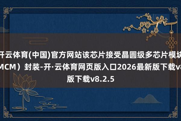 开云体育(中国)官方网站该芯片接受晶圆级多芯片模块（WMCM）封装-开·云体育网页版入口2026最新版下载v8.2.5